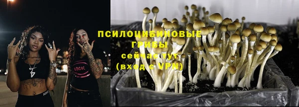 гашик Абинск