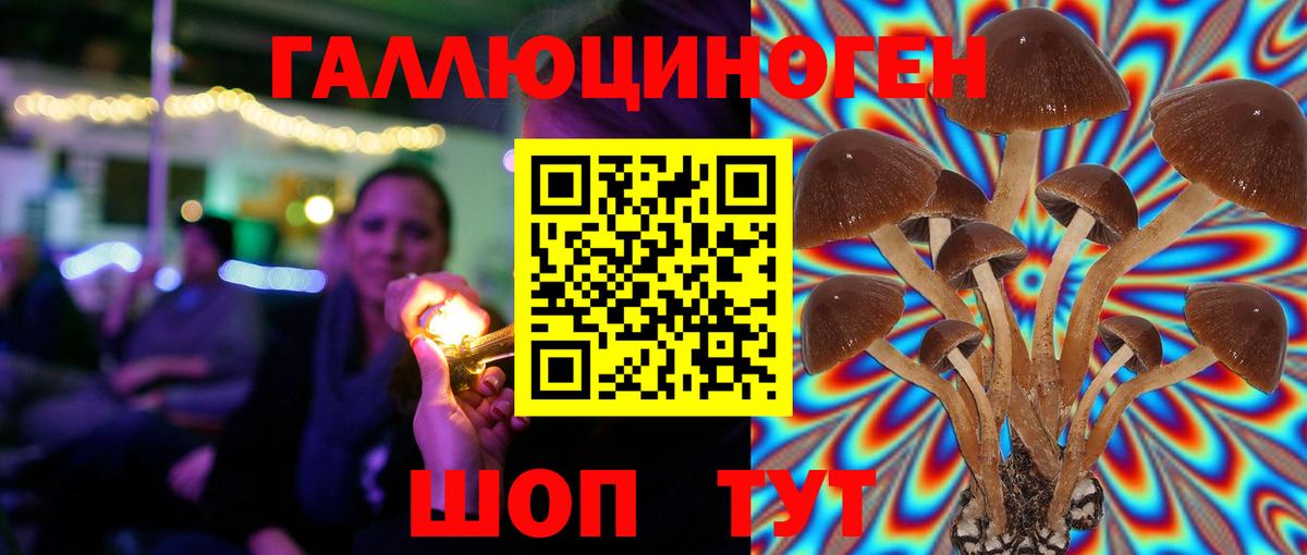 закладка  Вход с VPN  Тавда  Псилоцибиновые грибы Cubensis 