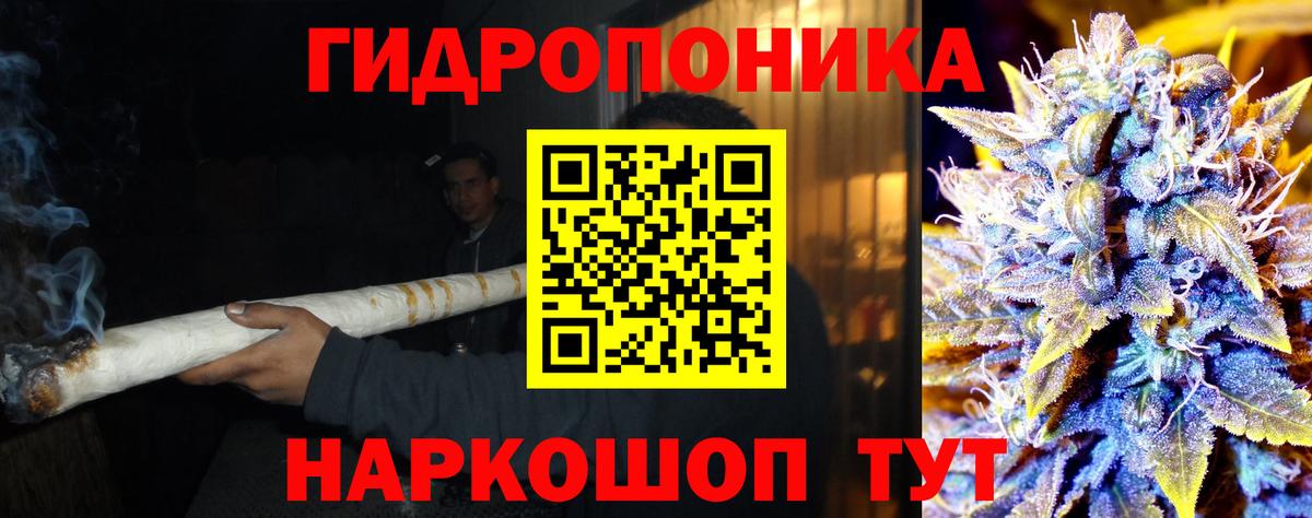 Бошки марихуана ГИДРОПОН Тавда
